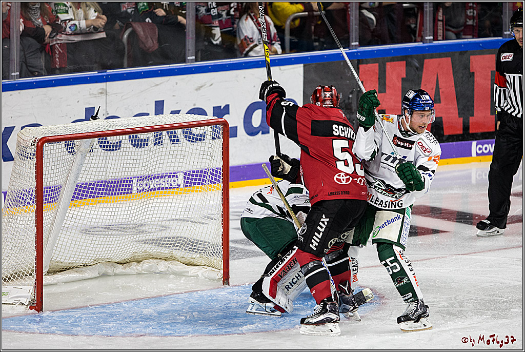 DEL, Koelner Haie - Augsburger Panther, 24.09.2017