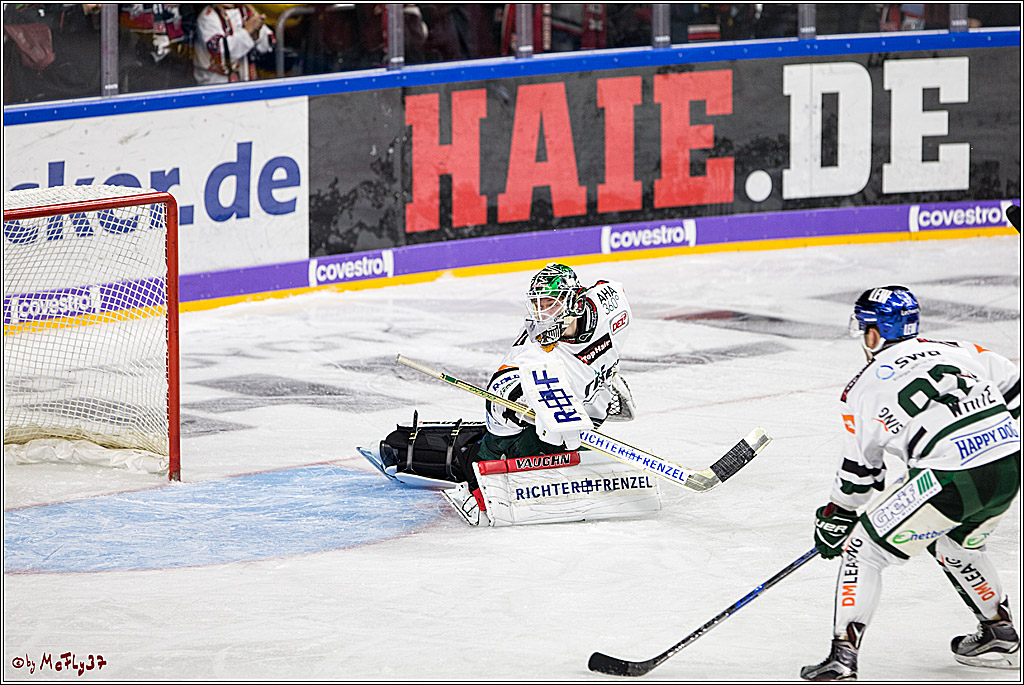DEL, Koelner Haie - Augsburger Panther, 24.09.2017