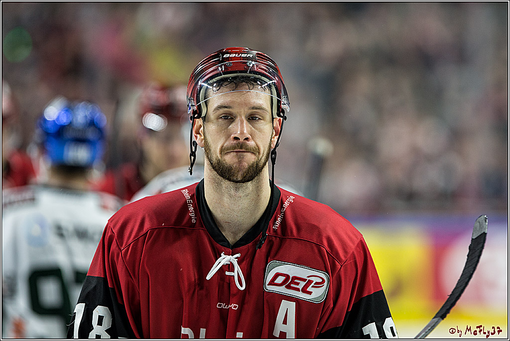 DEL, Koelner Haie - Augsburger Panther, 24.09.2017