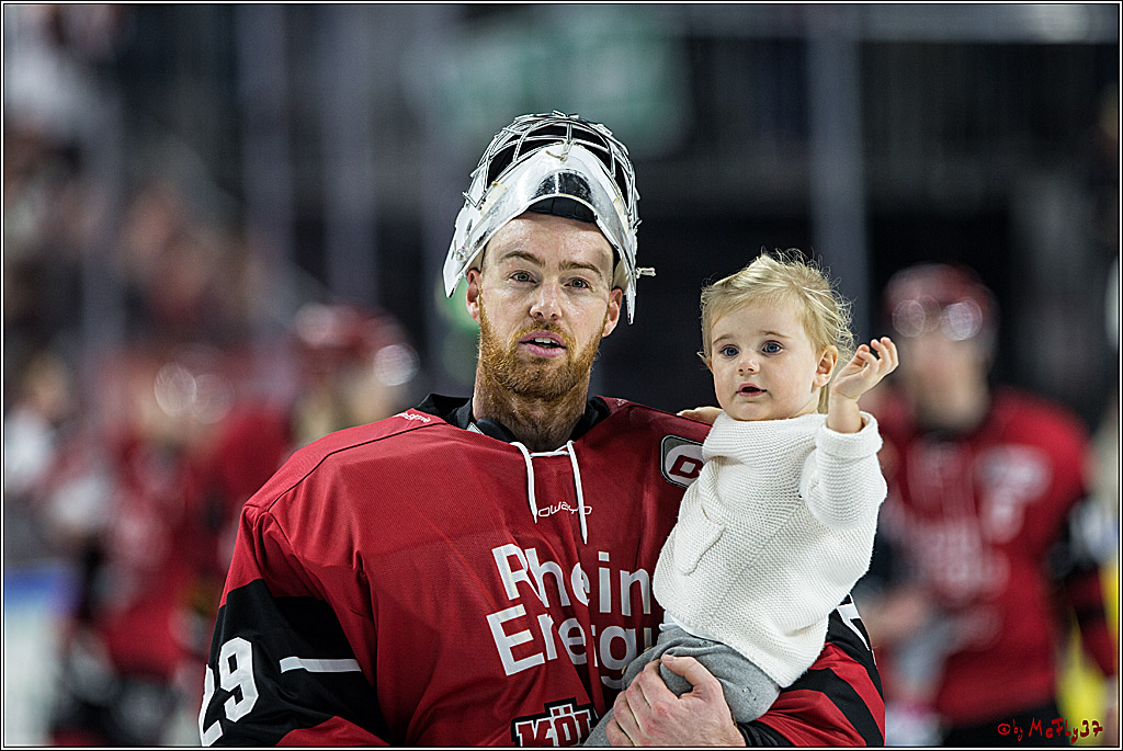 DEL, Koelner Haie - Augsburger Panther, 24.09.2017