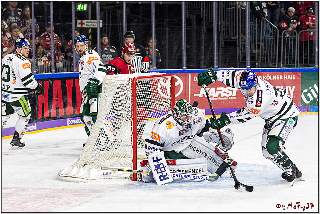DEL, Koelner Haie - Augsburger Panther, 24.09.2017