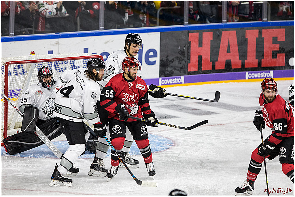 DEL, Koelner Haie - Thomas Sabo Ice Tigers, 17.09.2017