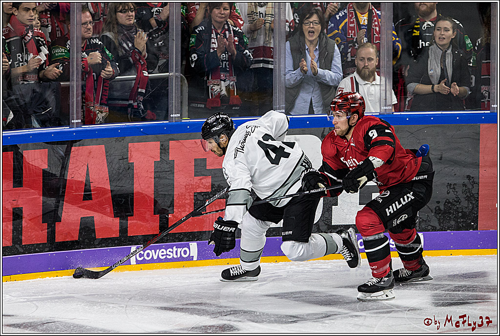 DEL, Koelner Haie - Thomas Sabo Ice Tigers, 17.09.2017