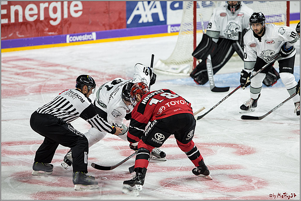 DEL, Koelner Haie - Thomas Sabo Ice Tigers, 17.09.2017