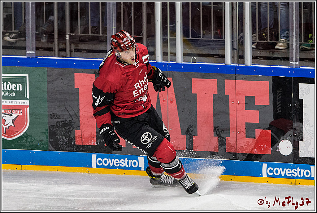 DEL, Koelner Haie - Thomas Sabo Ice Tigers, 17.09.2017