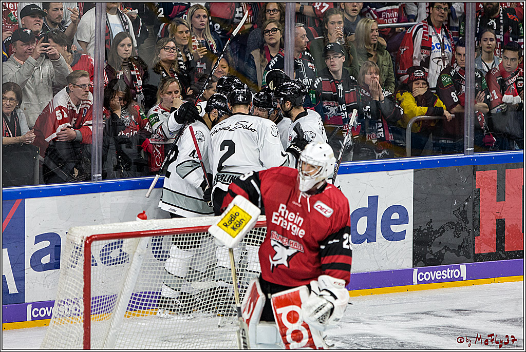 DEL, Koelner Haie - Thomas Sabo Ice Tigers, 17.09.2017