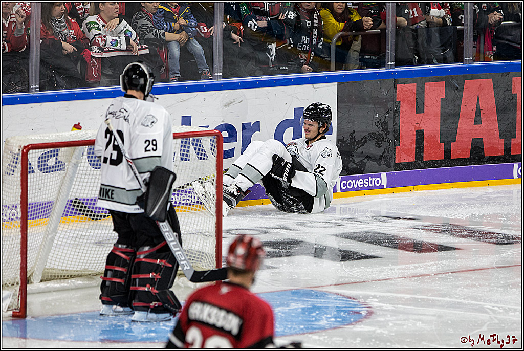 DEL, Koelner Haie - Thomas Sabo Ice Tigers, 17.09.2017