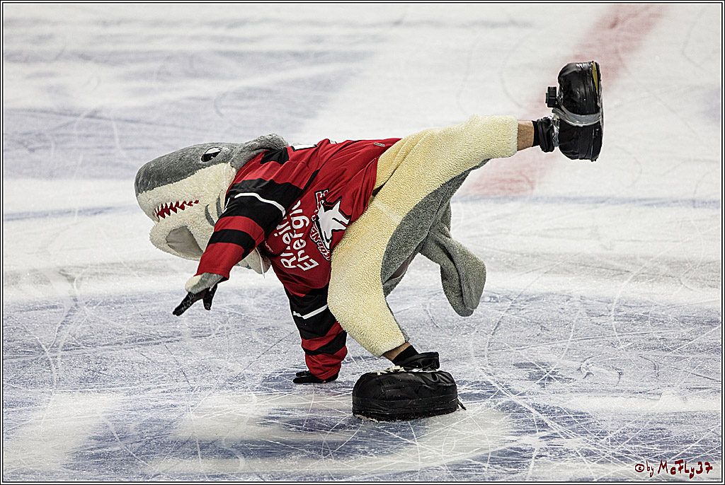 DEL, Koelner Haie - Thomas Sabo Ice Tigers, 17.09.2017