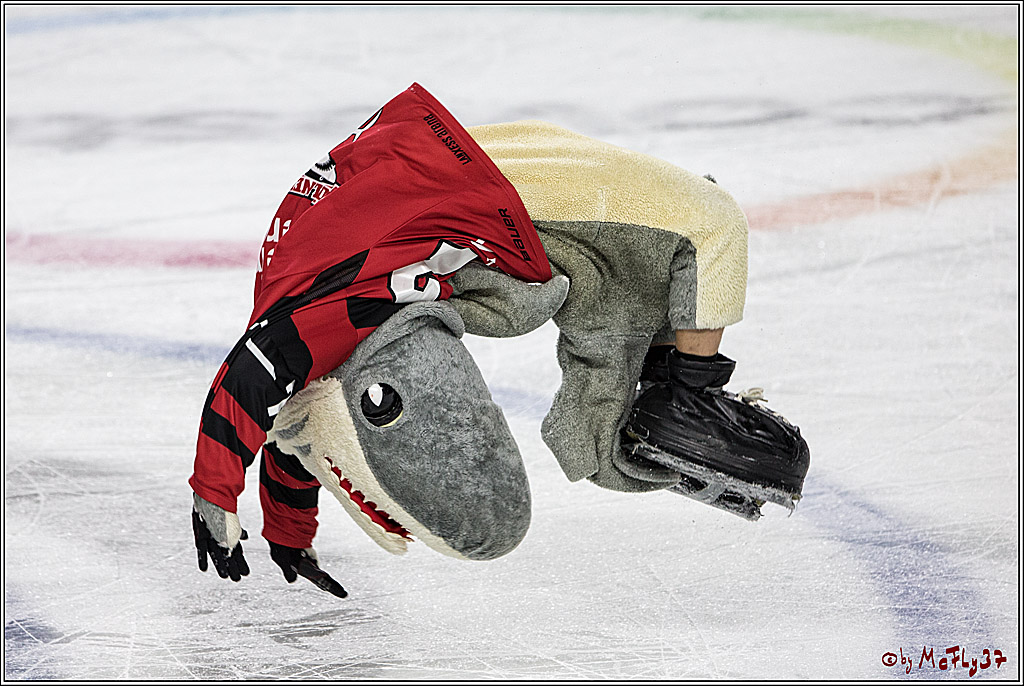DEL, Koelner Haie - Thomas Sabo Ice Tigers, 17.09.2017