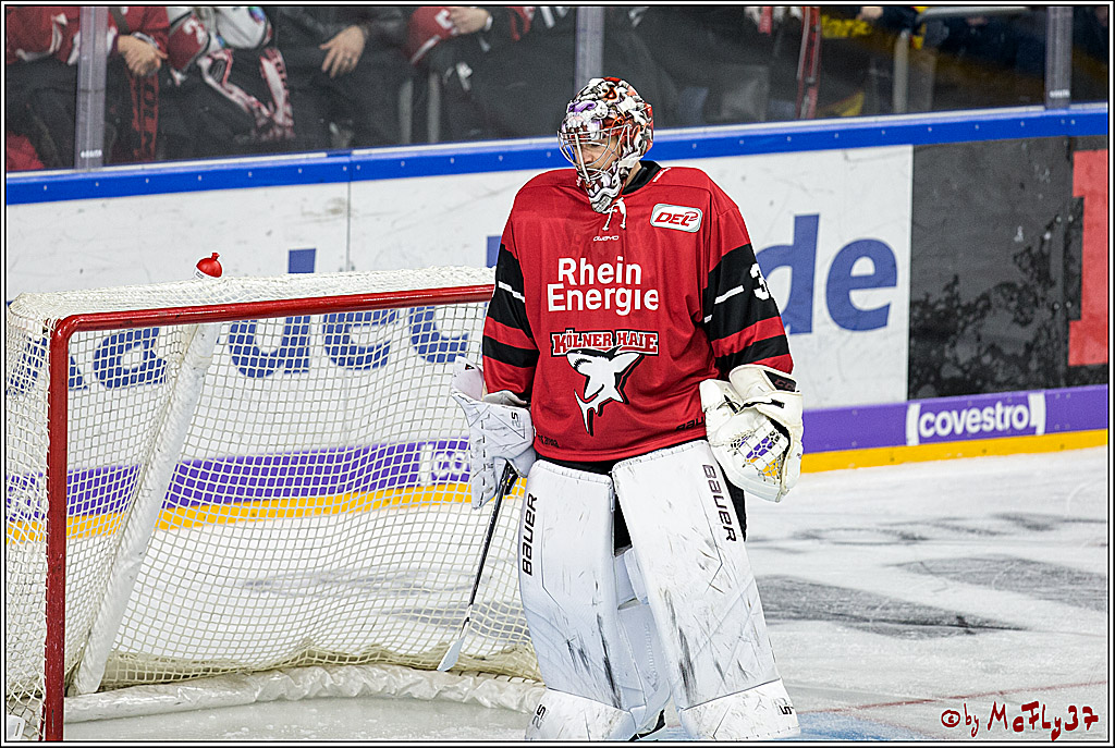 DEL, Koelner Haie - ERC Ingolstadt, 20.10.2017