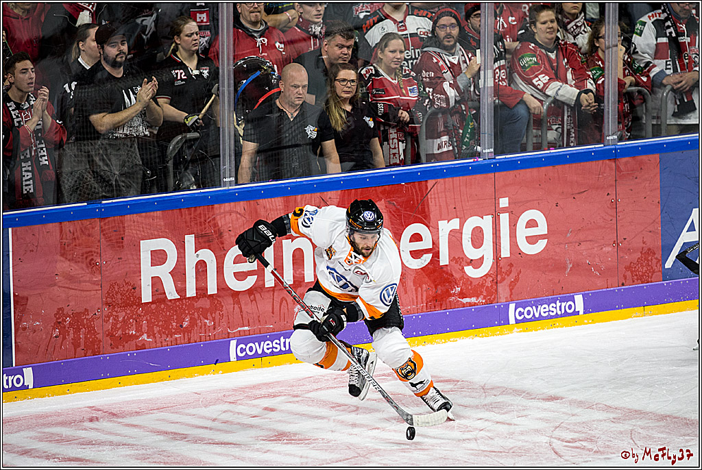DEL, Koelner Haie - Grizzlys Wolfsburg, 22.10.2017