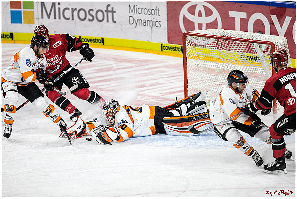 DEL, Koelner Haie - Grizzlys Wolfsburg, 22.10.2017