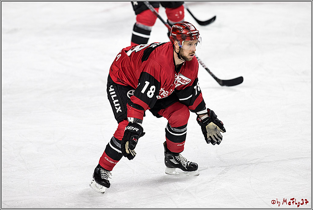 DEL, Koelner Haie - Grizzlys Wolfsburg, 22.10.2017