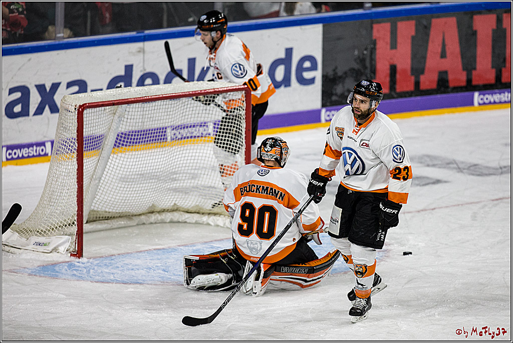 DEL, Koelner Haie - Grizzlys Wolfsburg, 22.10.2017