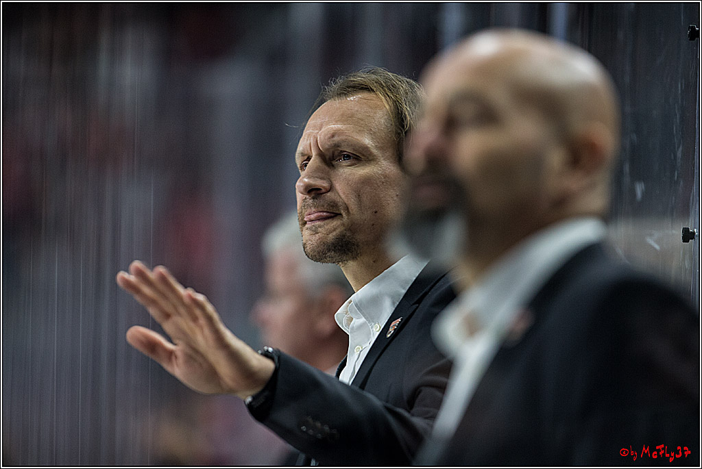 DEL, Koelner Haie - Grizzlys Wolfsburg, 22.10.2017