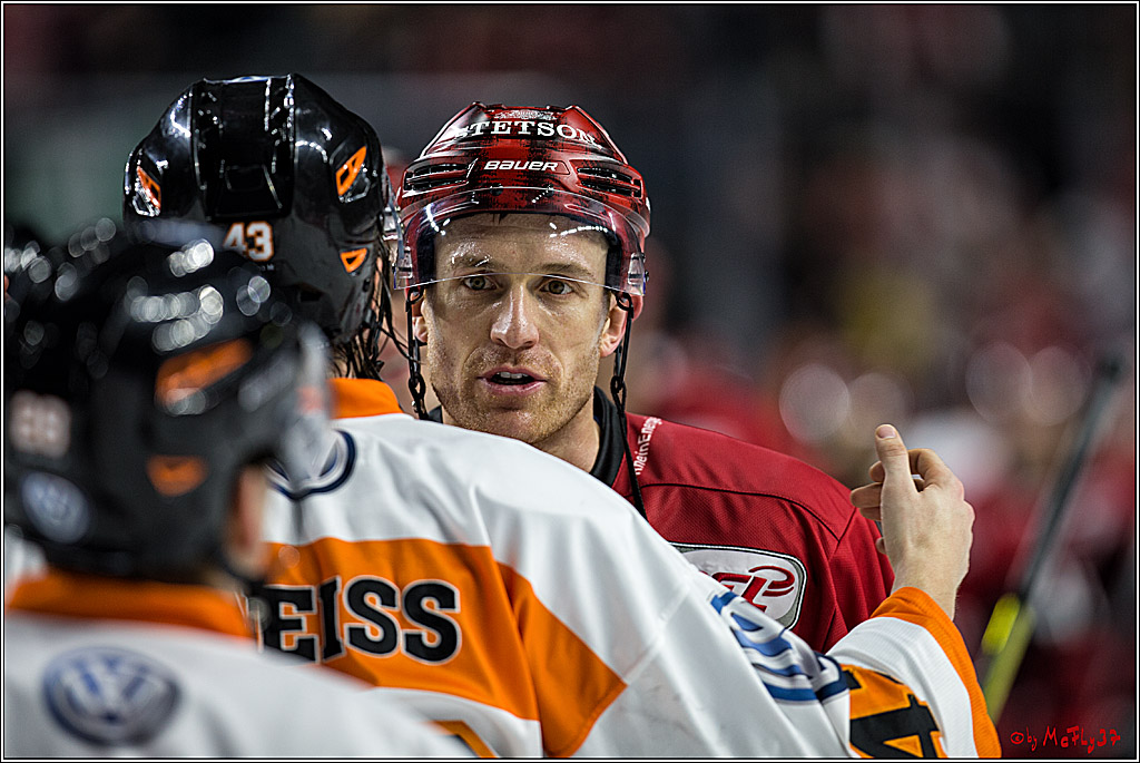 DEL, Koelner Haie - Grizzlys Wolfsburg, 22.10.2017