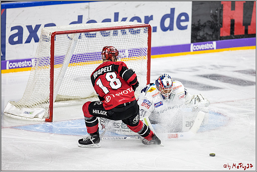 DEL, Koelner Haie - Eisbaeren Berlin, 24.10.2017