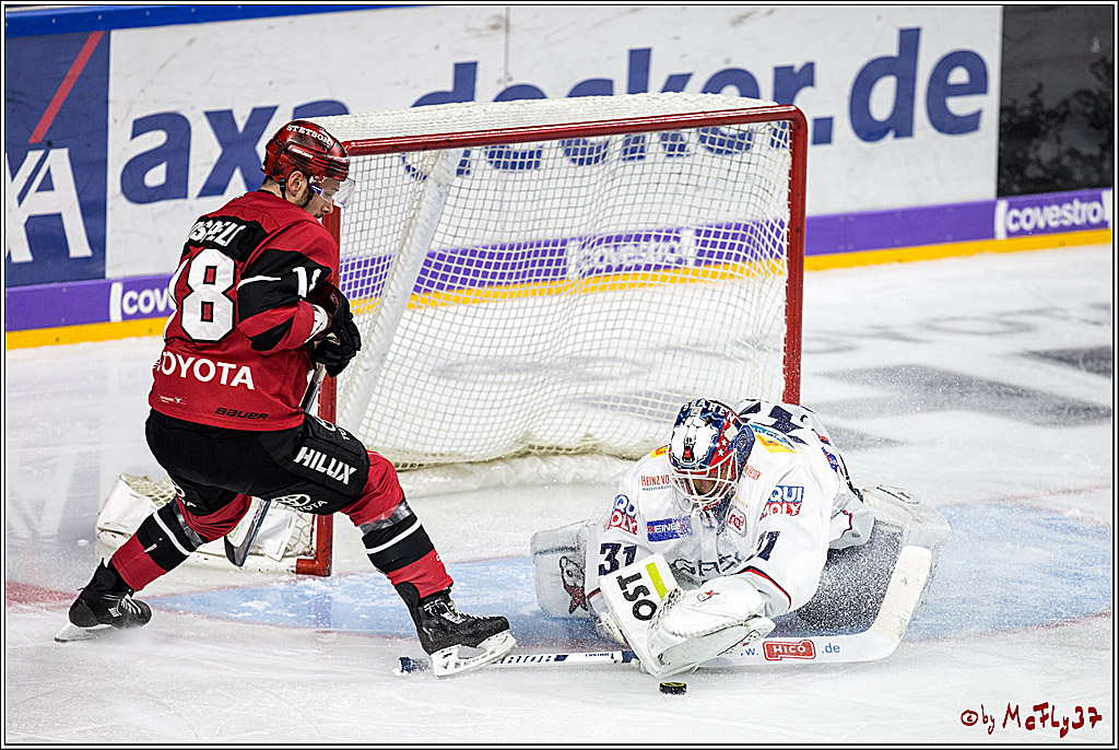 DEL, Koelner Haie - Eisbaeren Berlin, 24.10.2017