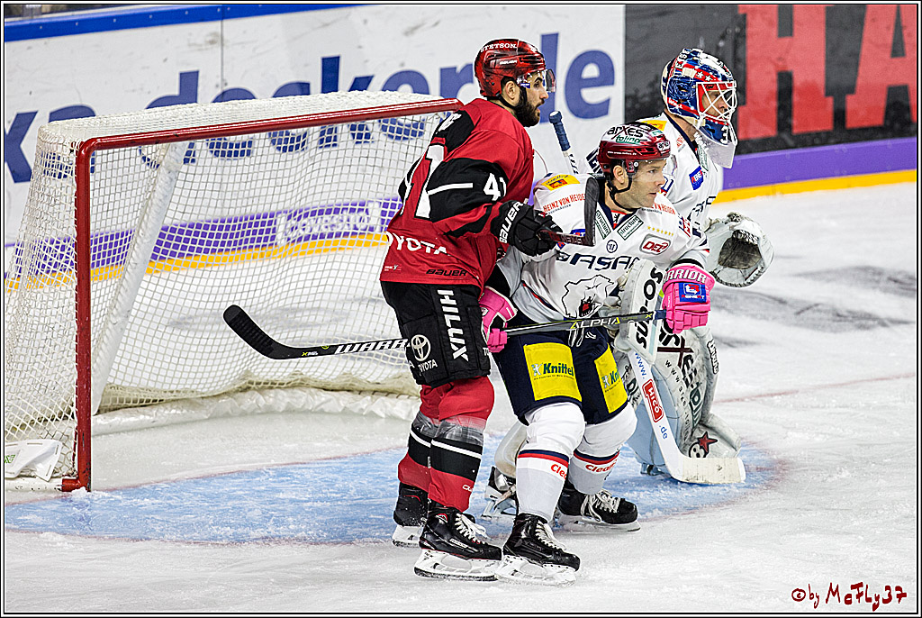 DEL, Koelner Haie - Eisbaeren Berlin, 24.10.2017