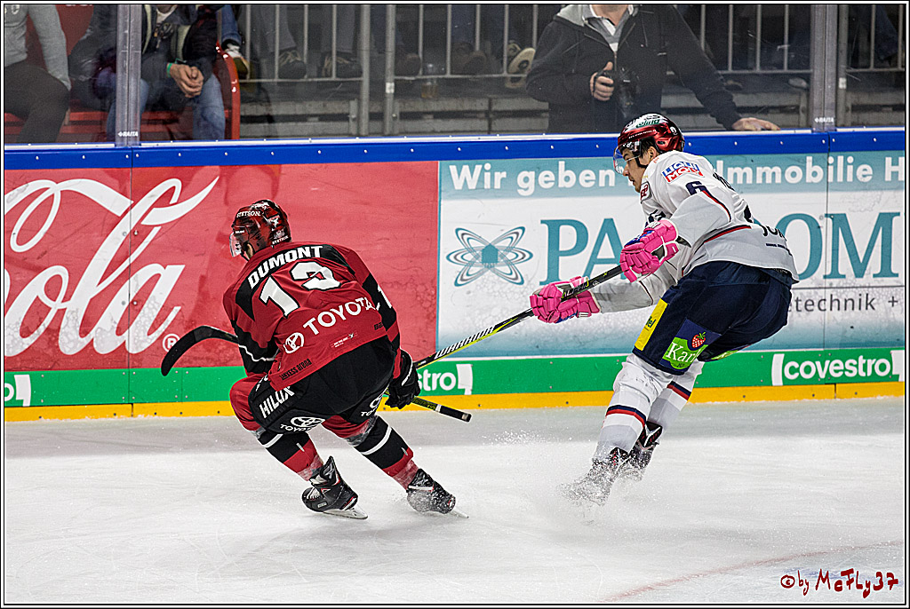 DEL, Koelner Haie - Eisbaeren Berlin, 24.10.2017