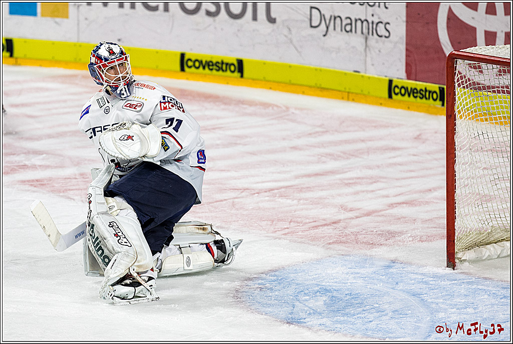 DEL, Koelner Haie - Eisbaeren Berlin, 24.10.2017