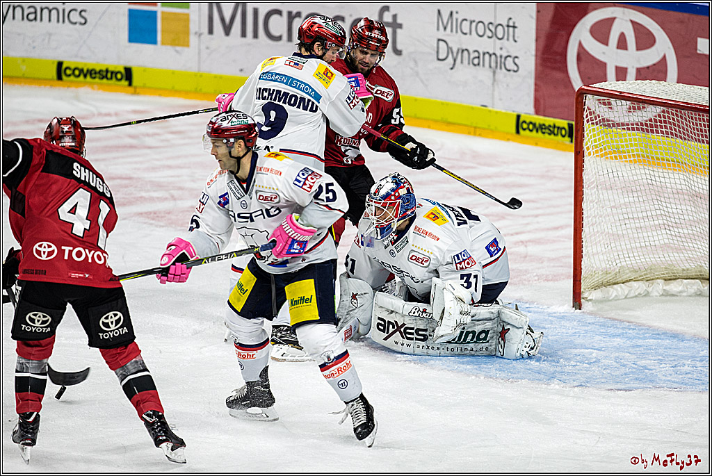 DEL, Koelner Haie - Eisbaeren Berlin, 24.10.2017