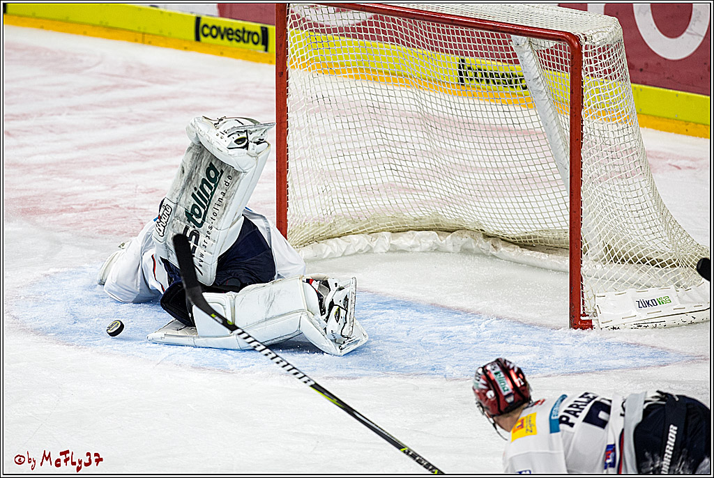 DEL, Koelner Haie - Eisbaeren Berlin, 24.10.2017