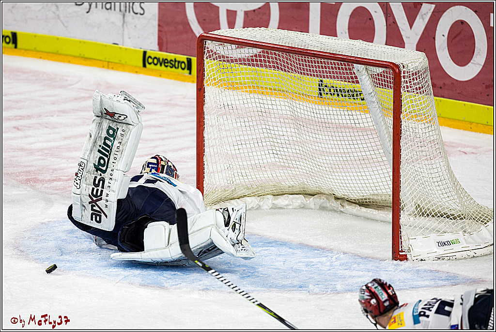 DEL, Koelner Haie - Eisbaeren Berlin, 24.10.2017