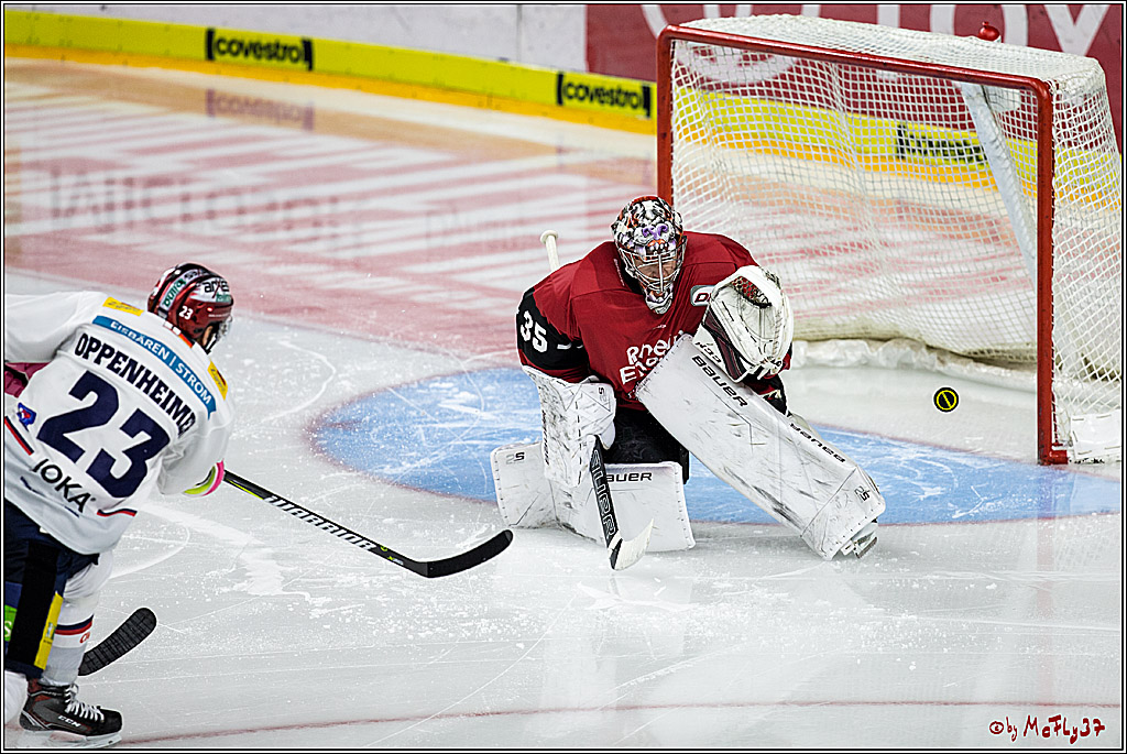 DEL, Koelner Haie - Eisbaeren Berlin, 24.10.2017