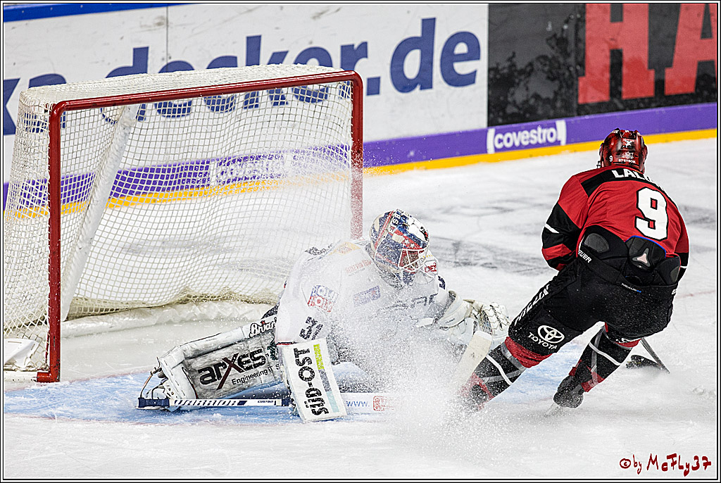 DEL, Koelner Haie - Eisbaeren Berlin, 24.10.2017