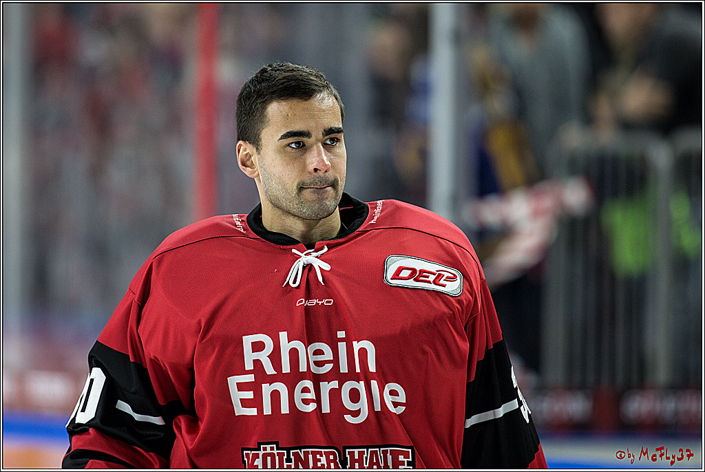 DEL, Koelner Haie - Eisbaeren Berlin, 24.10.2017