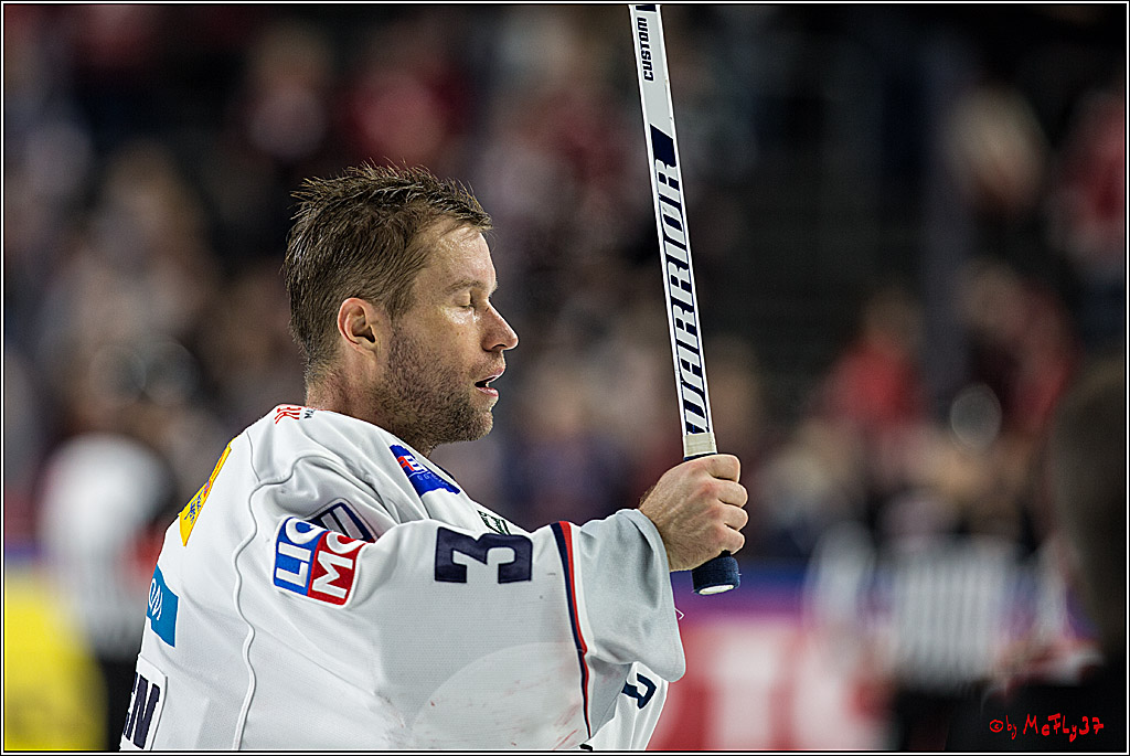 DEL, Koelner Haie - Eisbaeren Berlin, 24.10.2017
