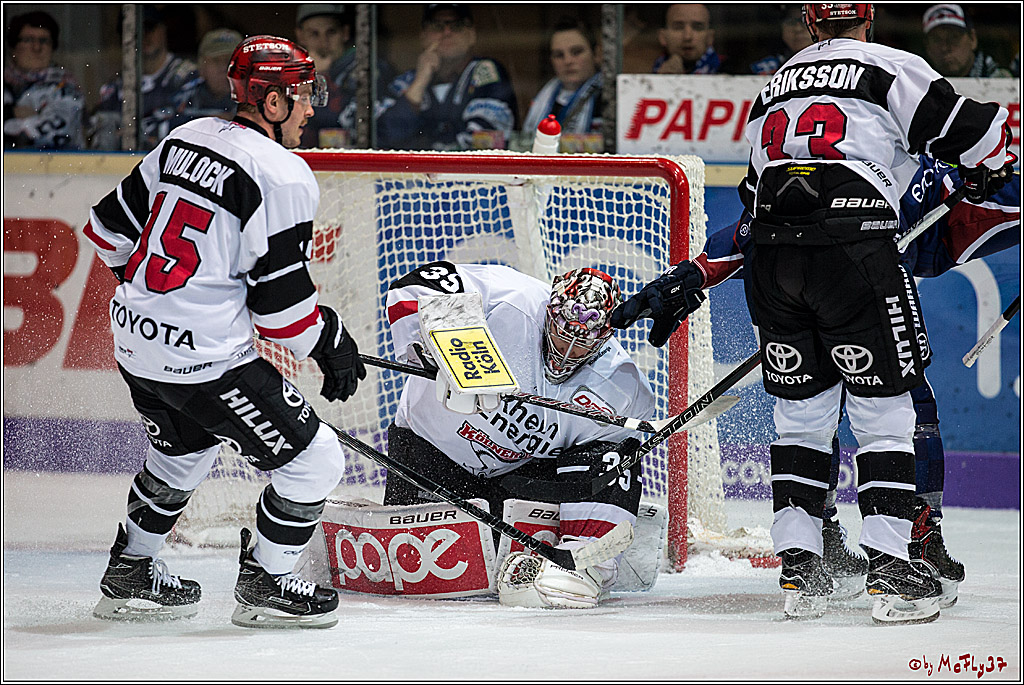 DEL, Iserlohn Roosters - Koelner Haie , 22.11.2017