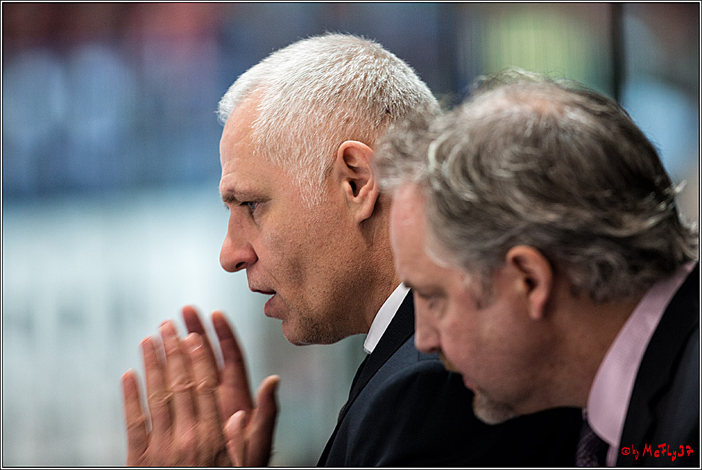 DEL, Iserlohn Roosters - Koelner Haie , 22.11.2017