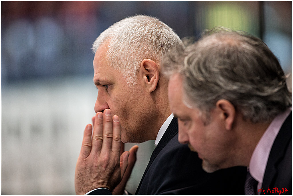 DEL, Iserlohn Roosters - Koelner Haie , 22.11.2017