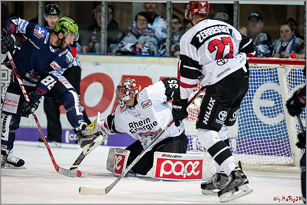 DEL, Iserlohn Roosters - Koelner Haie , 22.11.2017