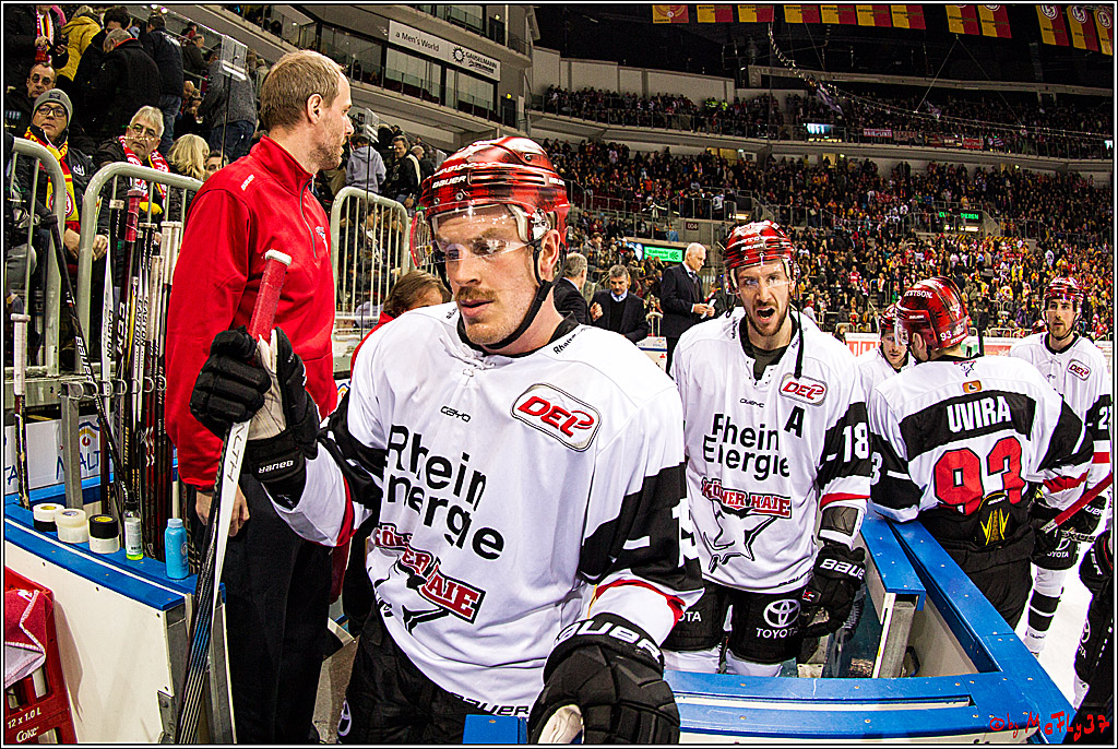 DEL, Duesseldorfer eG - Koelner Haie , 26.11.2017