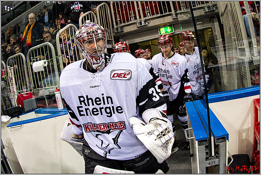 DEL, Duesseldorfer eG - Koelner Haie , 26.11.2017