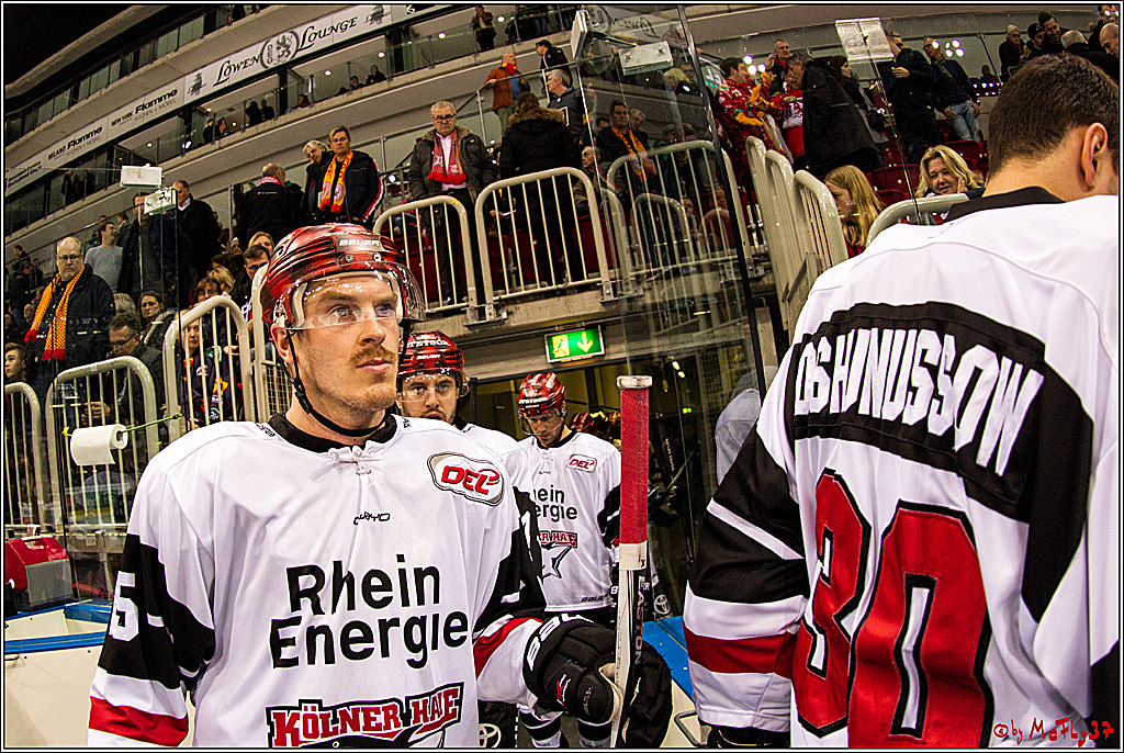 DEL, Duesseldorfer eG - Koelner Haie , 26.11.2017