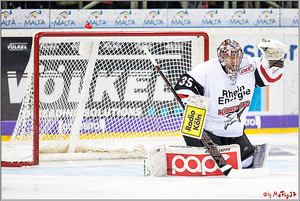DEL, Duesseldorfer eG - Koelner Haie , 26.11.2017