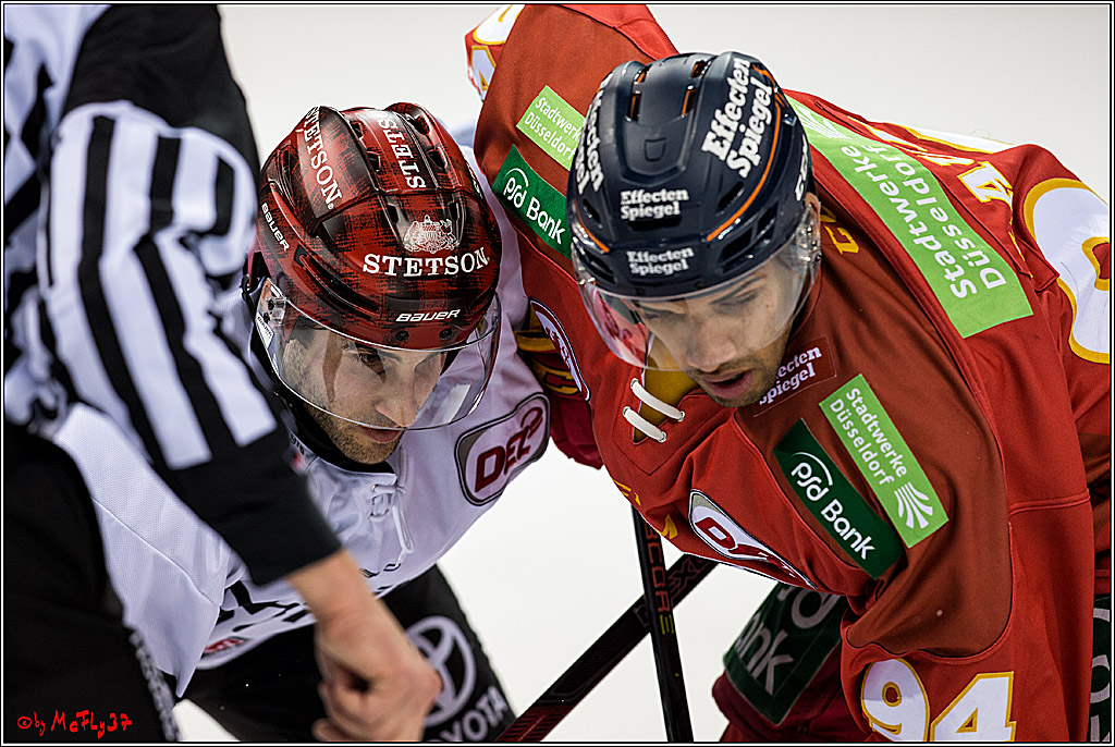DEL, Duesseldorfer eG - Koelner Haie, 26.11.2017
