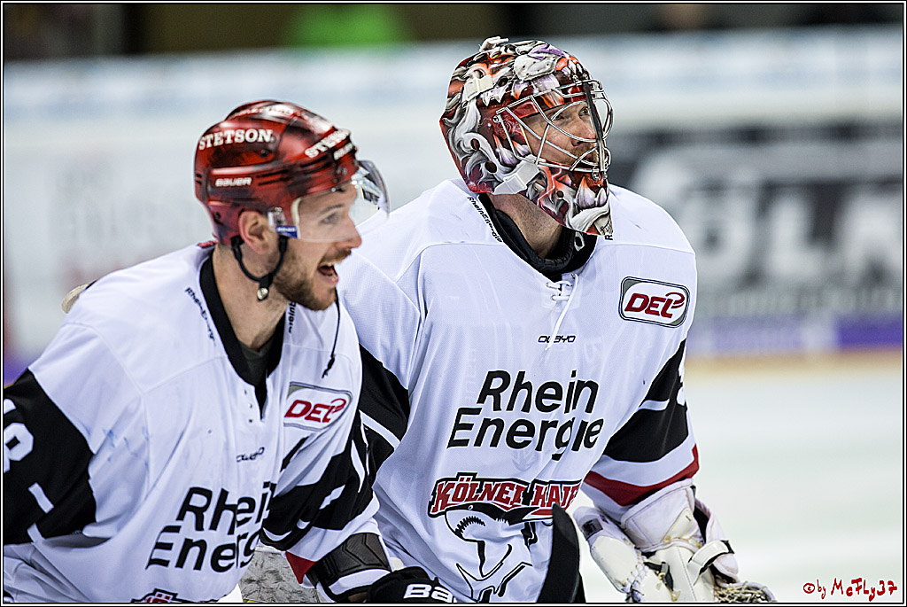 DEL, Duesseldorfer eG - Koelner Haie, 26.11.2017
