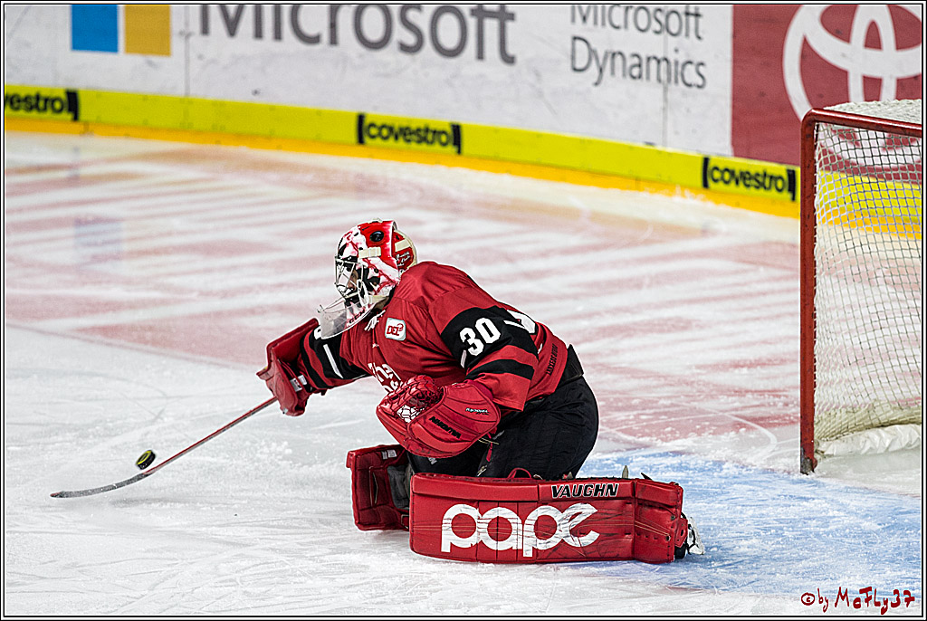 DEL, Koelner Haie - Duesseldorfer EG, 02.01.2018