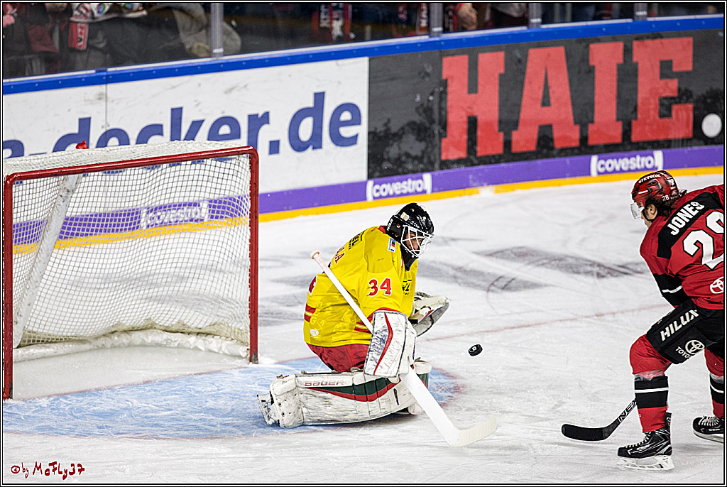 DEL, Koelner Haie - Duesseldorfer EG, 02.01.2018