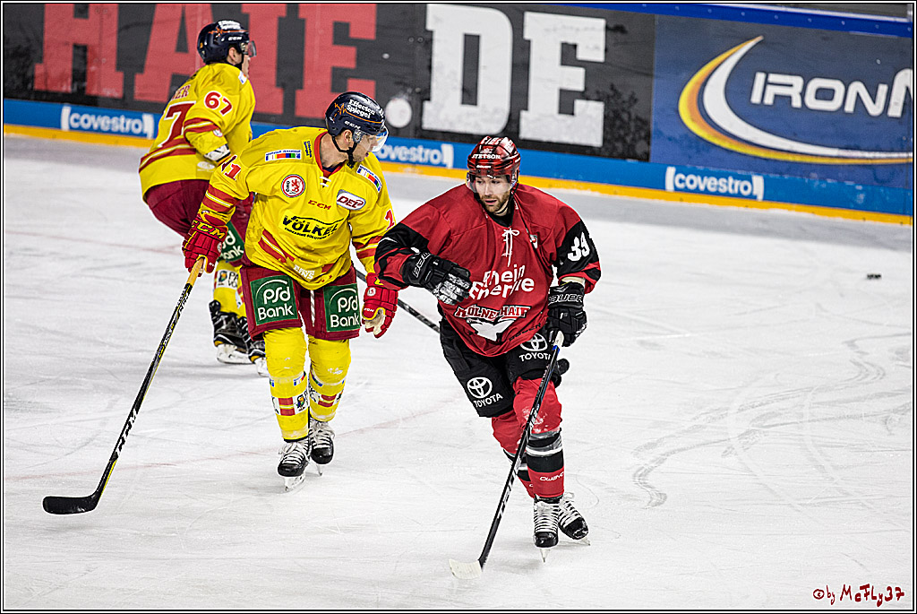 DEL, Koelner Haie - Duesseldorfer EG, 02.01.2018