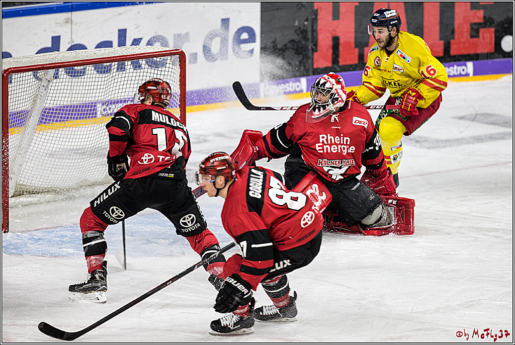 DEL, Koelner Haie - Duesseldorfer EG, 02.01.2018