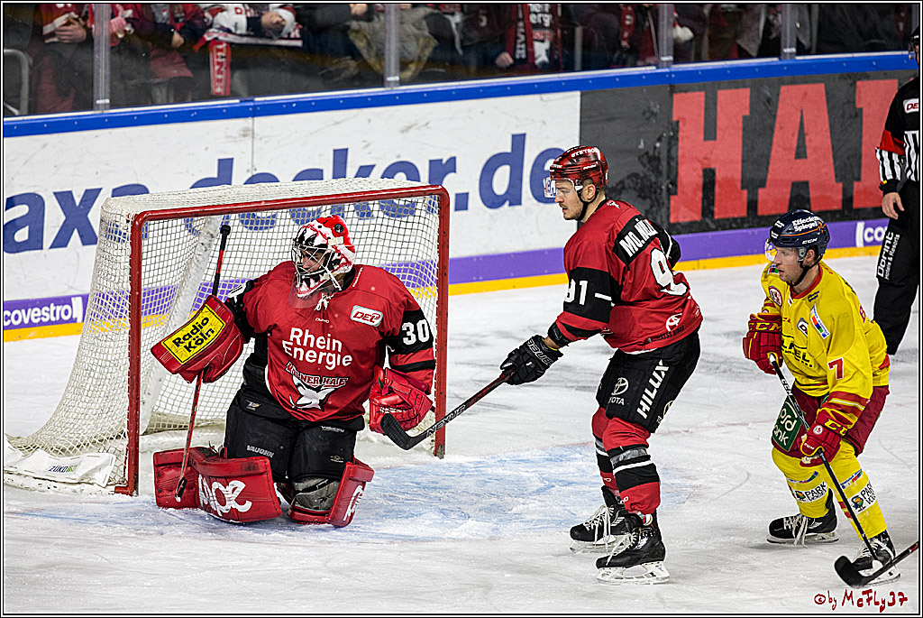 DEL, Koelner Haie - Duesseldorfer EG, 02.01.2018