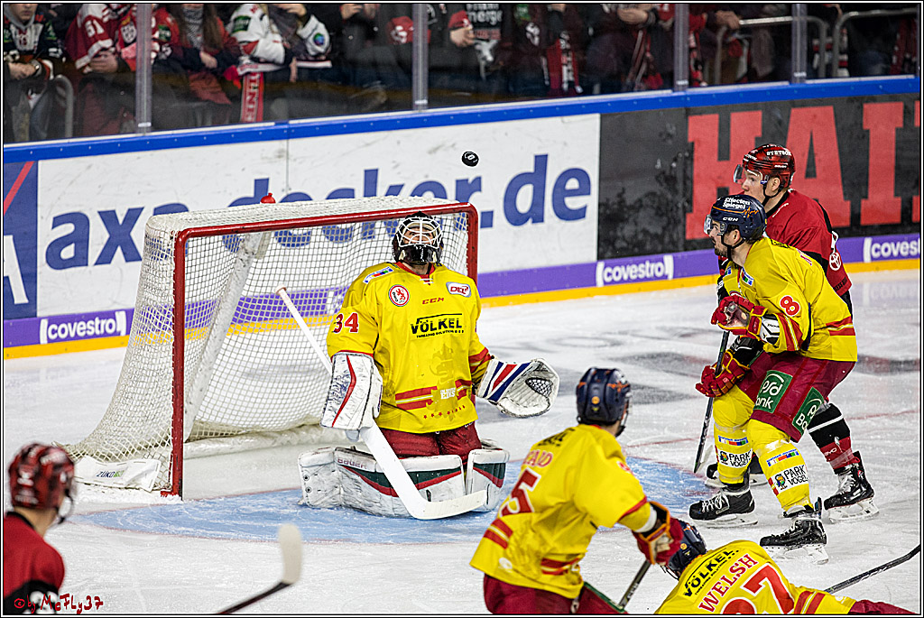 DEL, Koelner Haie - Duesseldorfer EG, 02.01.2018