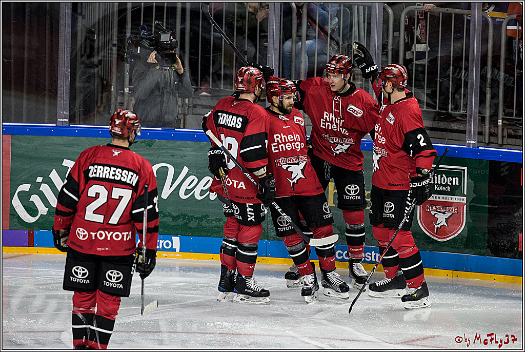 DEL, Koelner Haie - Adler Mannheim, 05.01.2018