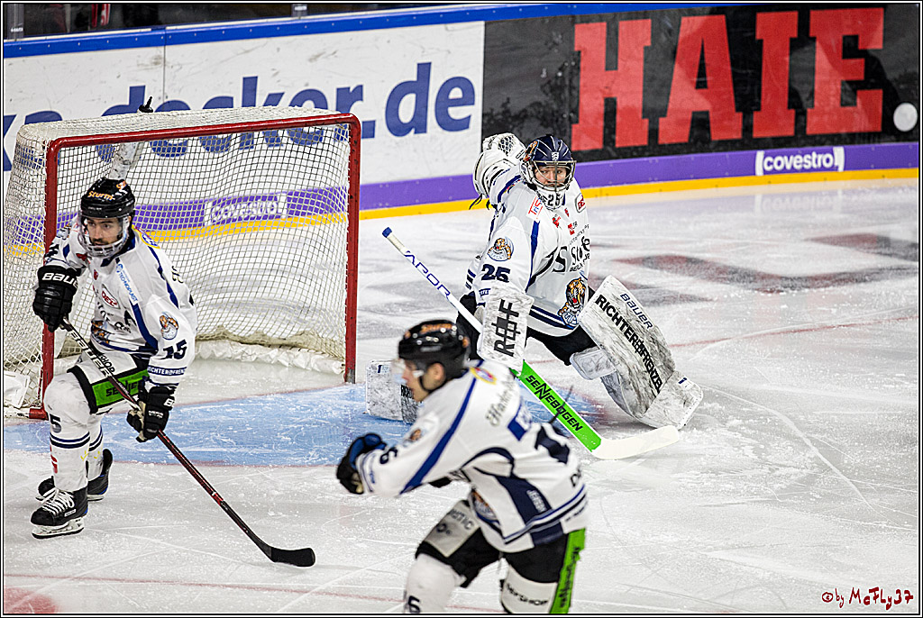 DEL, Koelner Haie - Straubing Tigers, 30.01.2018